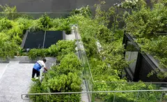 Some say ESG is an illiberal distraction from the finance sector’s true North Star: profit.