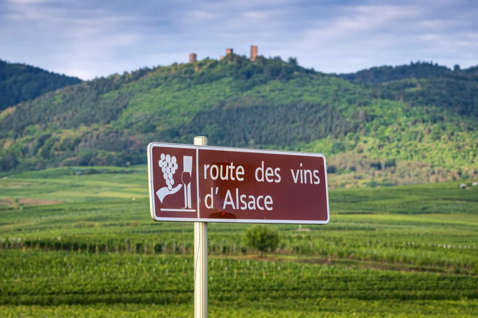 Winding its way along the gentle relief of the Alsatian hillsides, the Alsace Wine Route offers magnificent landscapes with vineyards, castles and typical villages.