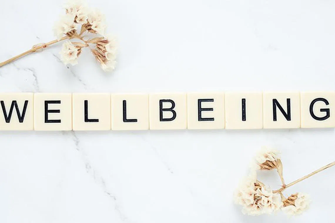 Financial advisers provide advice on asset allocation and portfolios, but so do robo advisers. Robo advisers cannot serve as wellbeing advisers, which is potentially a competitive advantage for financial advises.