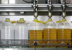 US imports of used cooking oil more than tripled in 2023 from a year earlier, with more than 50 per cent coming from China.