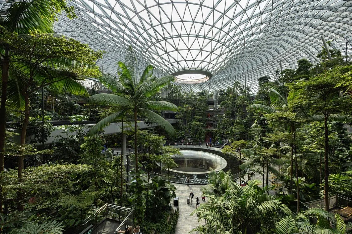 For the first 10 months of 2025, Changi Airport's passenger traffic is up 4.2% year on year.