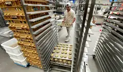 Overall morale was boosted by companies reporting that they were more satisfied with their current business situation, while future expectations also brightened significantly.