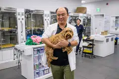 Oh I-se, vet and CEO of Sky Animal Medical Group, carrying goldendoodle Mozzi before using the 'X Caliber' software to help pin point x-ray abnormalities in the dog, Yongin, South Korea, July 2, 2024.