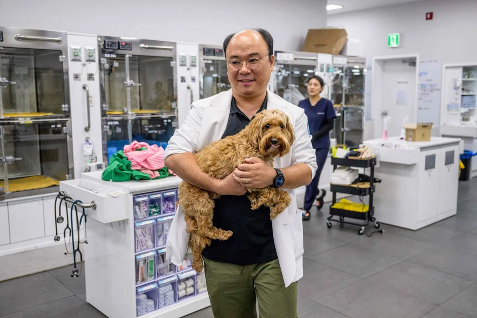 Oh I-se, vet and CEO of Sky Animal Medical Group, carrying goldendoodle Mozzi before using the 'X Caliber' software to help pin point x-ray abnormalities in the dog, Yongin, South Korea, July 2, 2024.