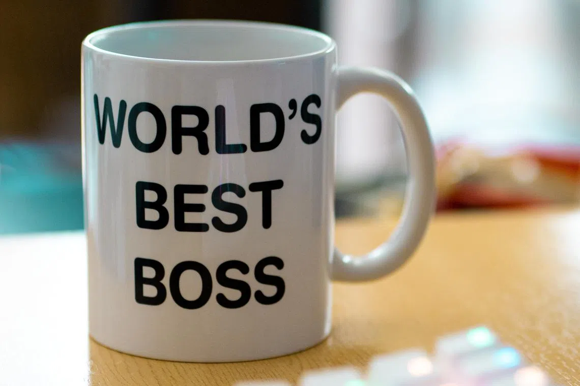 Your relationship with your superior can make or break your working experience.