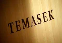 Temasek's FY2023 performance was supported by Singapore companies such as Keppel Corp, Sembcorp Industries and Seatrium.