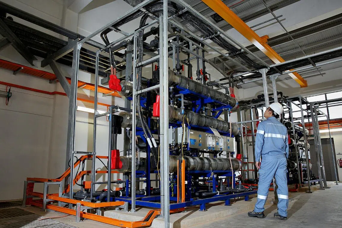 Venturing abroad revs up Cyclect Group's growth