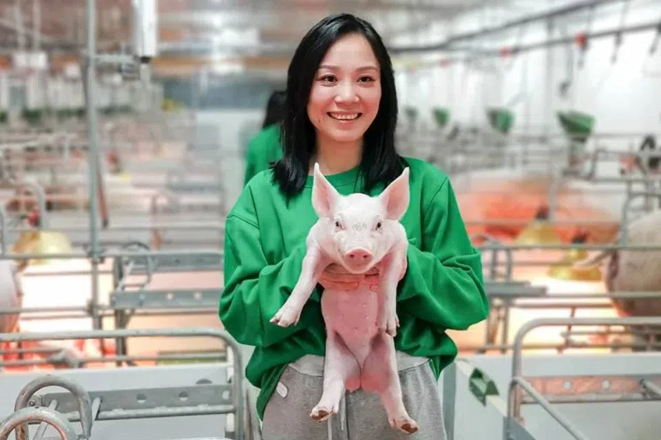 In 2021, Liu Chang visited a pig farm in Huanghua, Hebei