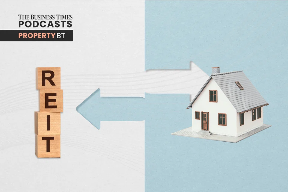 Should Reits be part of investment portfolios of retirees and the young?