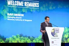Speaking at a transition finance conference on Tuesday (Oct 4), MAS managing director Ravi Menon said that blended finance programmes are too few and too small, with global annual flows averaging less than US$10 billion since 2015.