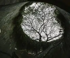 In the absence of sustainability-related expertise, companies are hiring candidates with strong operational or strategic backgrounds – reflecting the challenges of finding ideal candidates for a multi-faceted role.