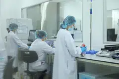 MOH has directed Cordlife to review all laboratory records of new cord-blood units collected since the resumption of its cord-blood banking services in January 2025.