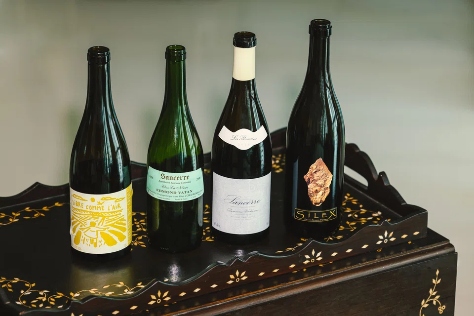 Sauvignon Blanc displays regional differences that offer a wide choice in the style of wine.