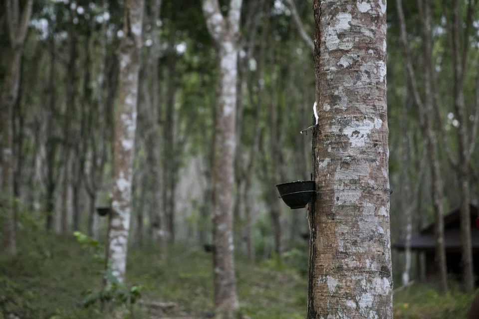 Revenue rose to 34.4 billion baht in Q1 on the back of higher sales of natural rubber. 
