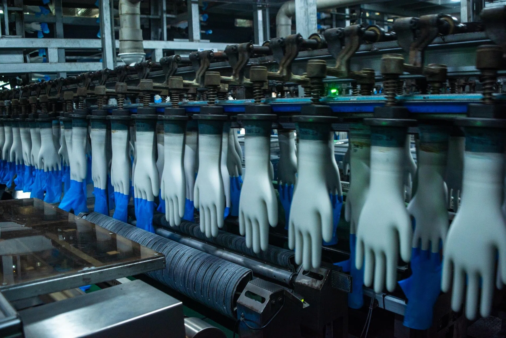 Malaysia’s strong ringgit squeezes export reliant glove makers