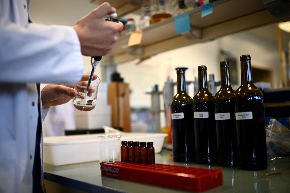 Based on the chemical composition of wines made in Bordeaux, France, a new computer model can determine which estate each bottle was made in.