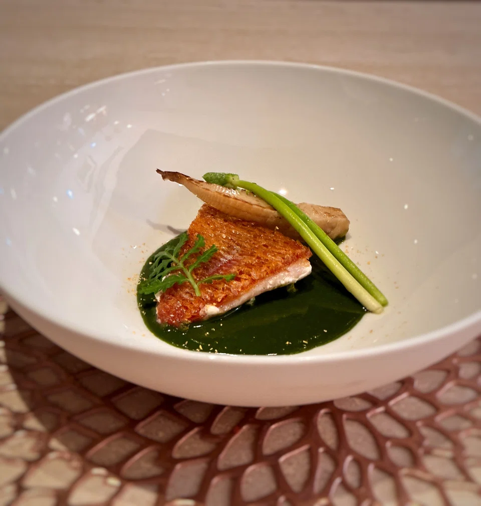 Crisp-skinned amadei with Japanese crown daisy sauce.