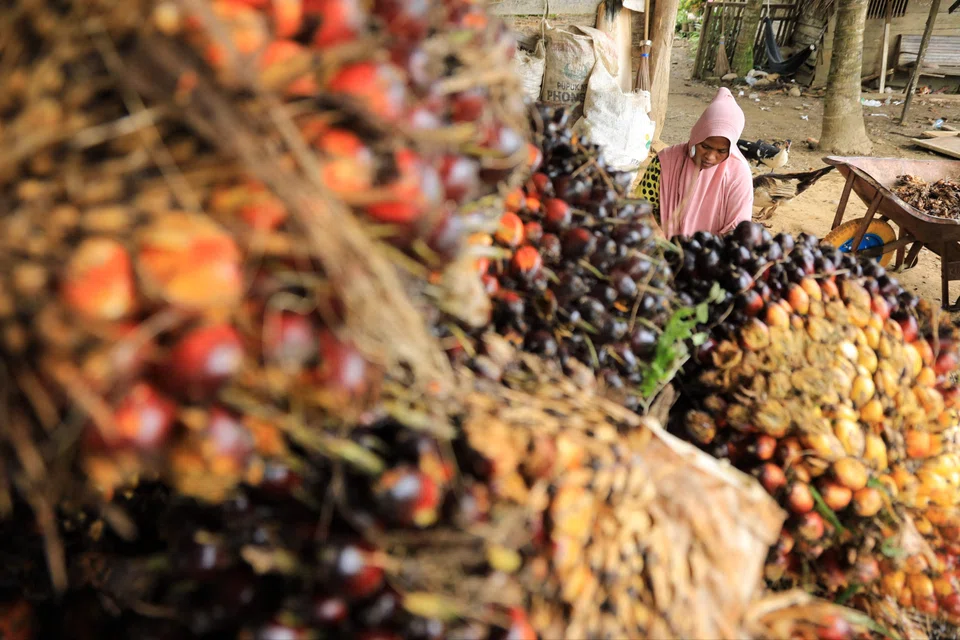 The Indonesian authorities are probing Wilmar Group and two other palm-oil companies, which they accuse of paying bribes to obtain export permits between January and April 2022.