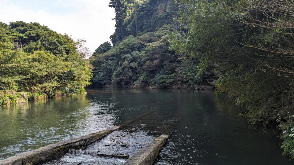 Emerging-market borrowers are more likely to make use of biodiversity bonds because populations in these countries are more dependent on nature for their prosperity.
