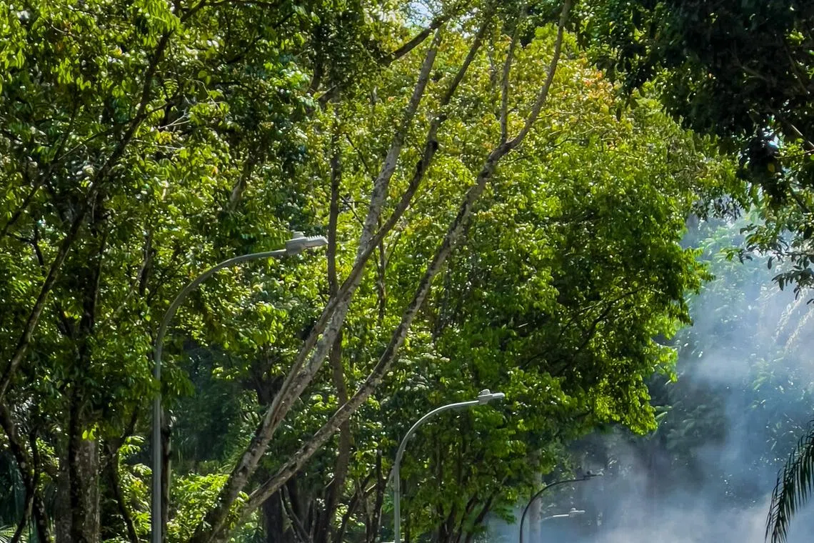 “Investor appetite for ESG funds will continue to be tested in the months ahead by an evolving regulatory landscape and mounting geopolitical tensions.," says Morningstar's Hortense Bioy.