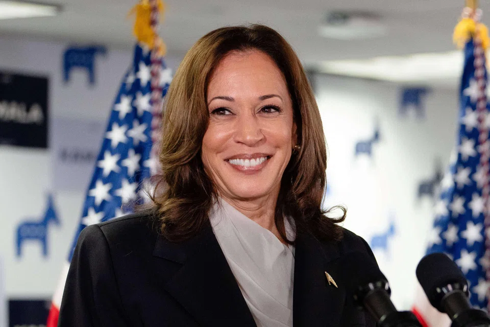 US Vice-President Kamala Harris says she would use her background as a prosecutor to define Trump.