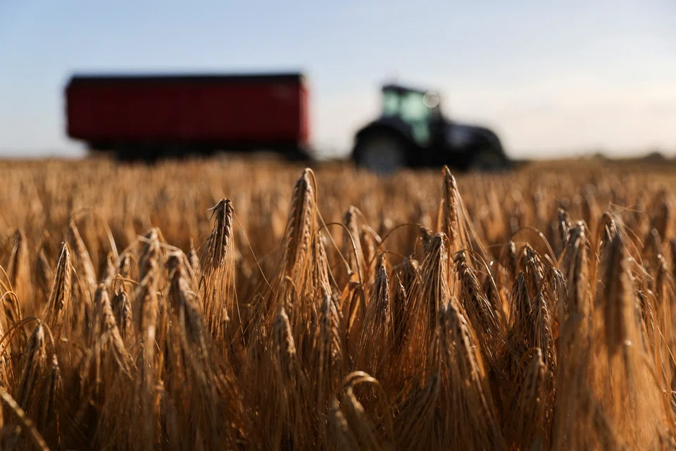 Twenty EU countries recorded lower output prices, or prices of agricultural goods sold, which dropped by 6 per cent on average, with a 28 per cent drop in the price of cereals, Eurostat said.