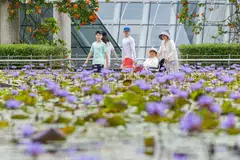 Succession planning is not just business; it’s looking out for family. It reduces tension among family and partners in a time of uncertainty and grief.