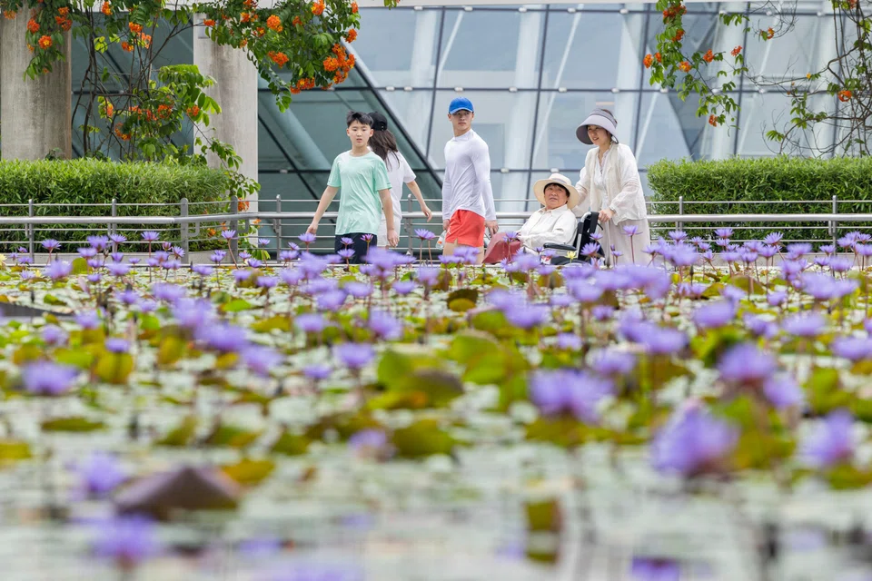 Succession planning is not just business; it’s looking out for family. It reduces tension among family and partners in a time of uncertainty and grief.