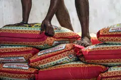 Some farmers have blamed imports for falling rice prices, saying countries such as India, Vietnam and Thailand are undercutting their crops.