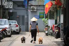 Vietnam has no nuclear power plants and scrapped plans to build its first two nuclear power plants in 2016.