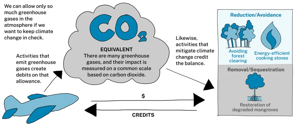 Carbon credit