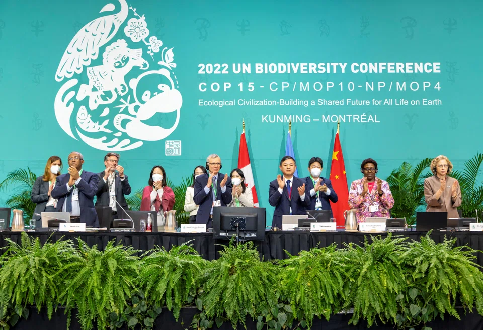 Nearly 200 countries signed up for the Kunming-Montreal Global Biodiversity Framework last December, committing for the first time to conserve at least 30 per cent of global lands and waters by 2030. COP15 took place in Montreal, Canada, Dec 2022.