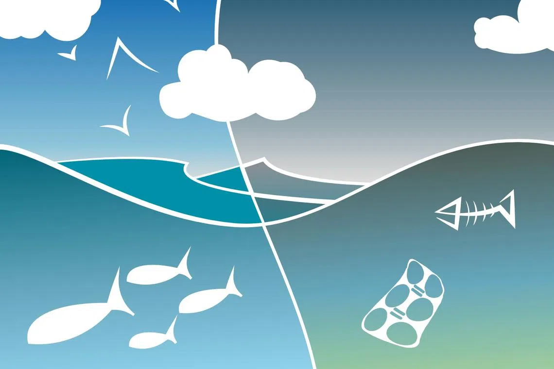 In the absence of collection, plastics are finding their way into our waterways and oceans and, increasingly, into the global food chain.