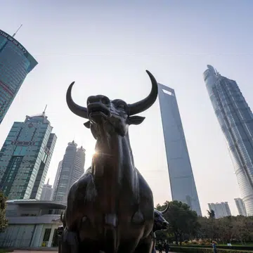 The fresh crop of chip designers and large language model companies has helped China stand out among global markets shaken by concerns over AI disruption. 