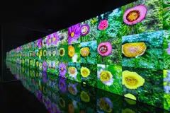 ArtScience Museum's latest show "Notes From The Ether: From NFTs To AI" tracks the rapid development of digital art in recent years through works by 20 cutting-edge artists.