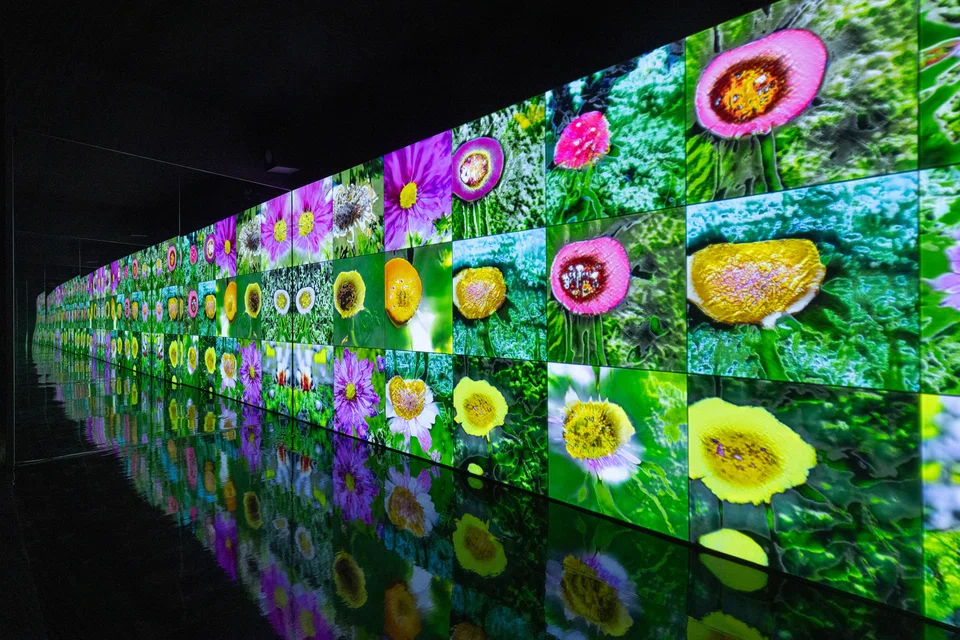 ArtScience Museum's latest show "Notes From The Ether: From NFTs To AI" tracks the rapid development of digital art in recent years through works by 20 cutting-edge artists.