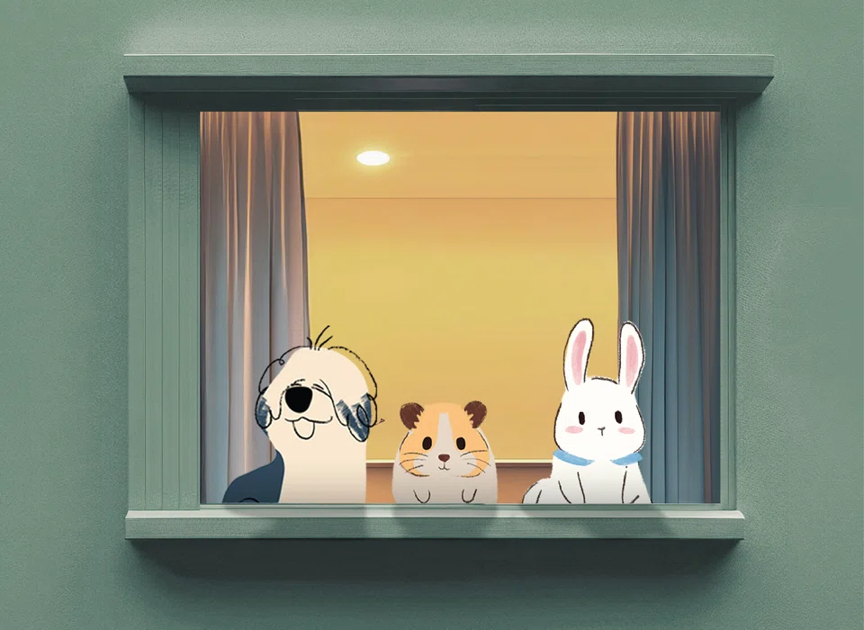 One simple explanation for the explosion in home-based pet boarding services is the growth in pet ownership.