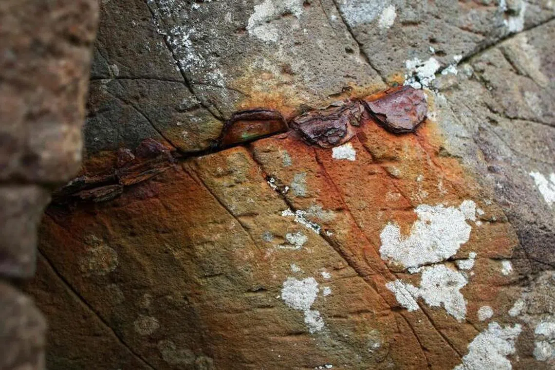 Rusting coins that are damaging the stones at the Giant's Causeway, are pictured at the Unesco World Heritage Site.