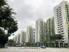 Sound reasons exist for some buyers to pay over a million dollars each for certain HDB resale flats.