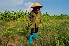 Farmers frequently complain that official compensation prices are set below market value, while the reclamation process can be open to corruption.