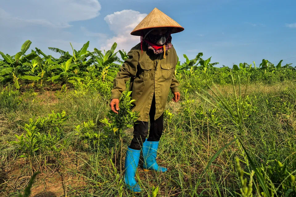 Farmers frequently complain that official compensation prices are set below market value, while the reclamation process can be open to corruption.