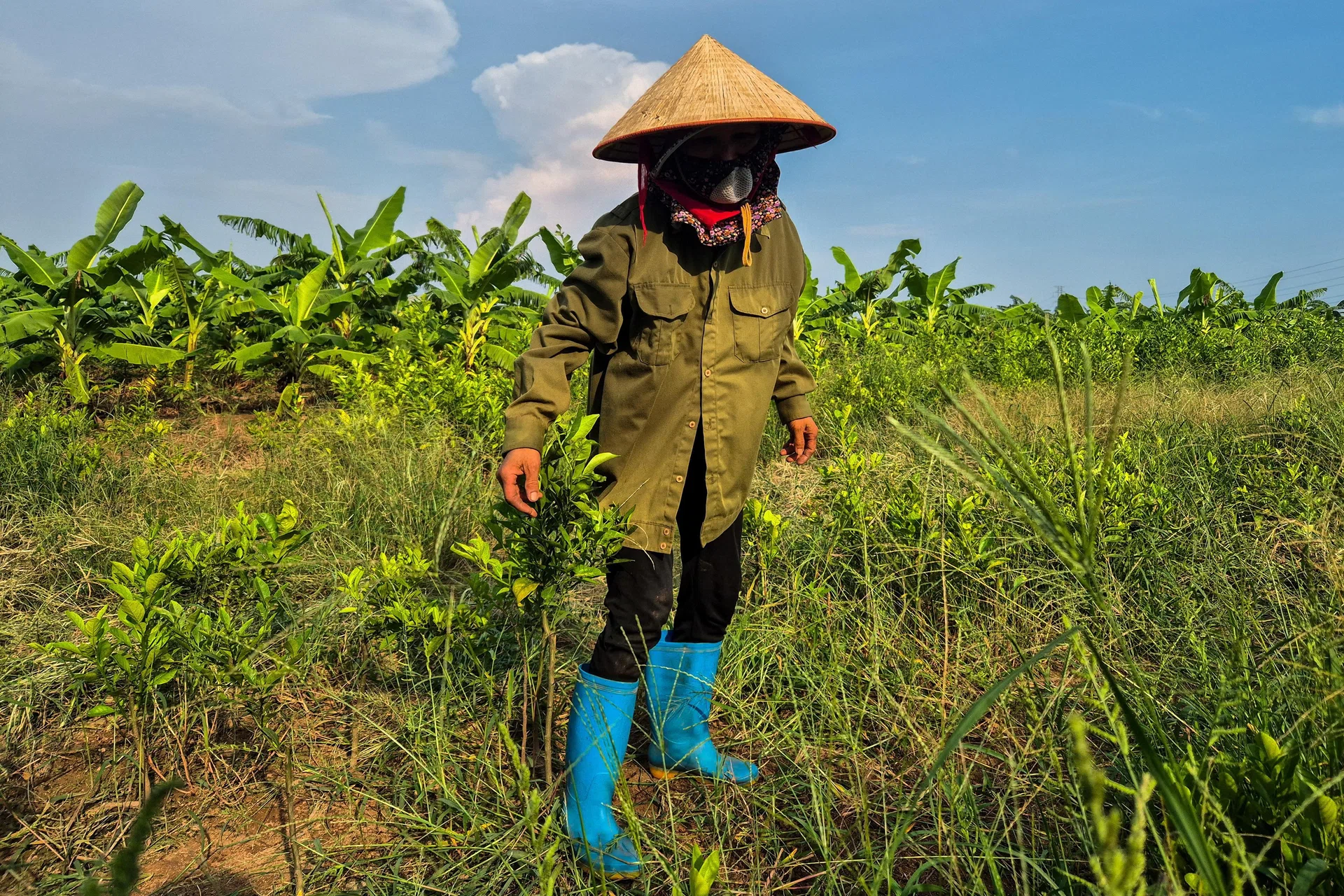 Trump-branded golf resort in Vietnam hits snag over land dispute - The ...