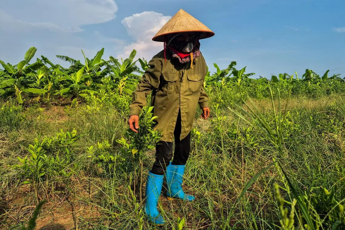 Farmers frequently complain that official compensation prices are set below market value, while the reclamation process can be open to corruption.