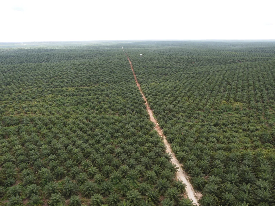 The stock call upgrade comes in tandem with RHB’s rating change for the plantation sector to “overweight” from “neutral”.