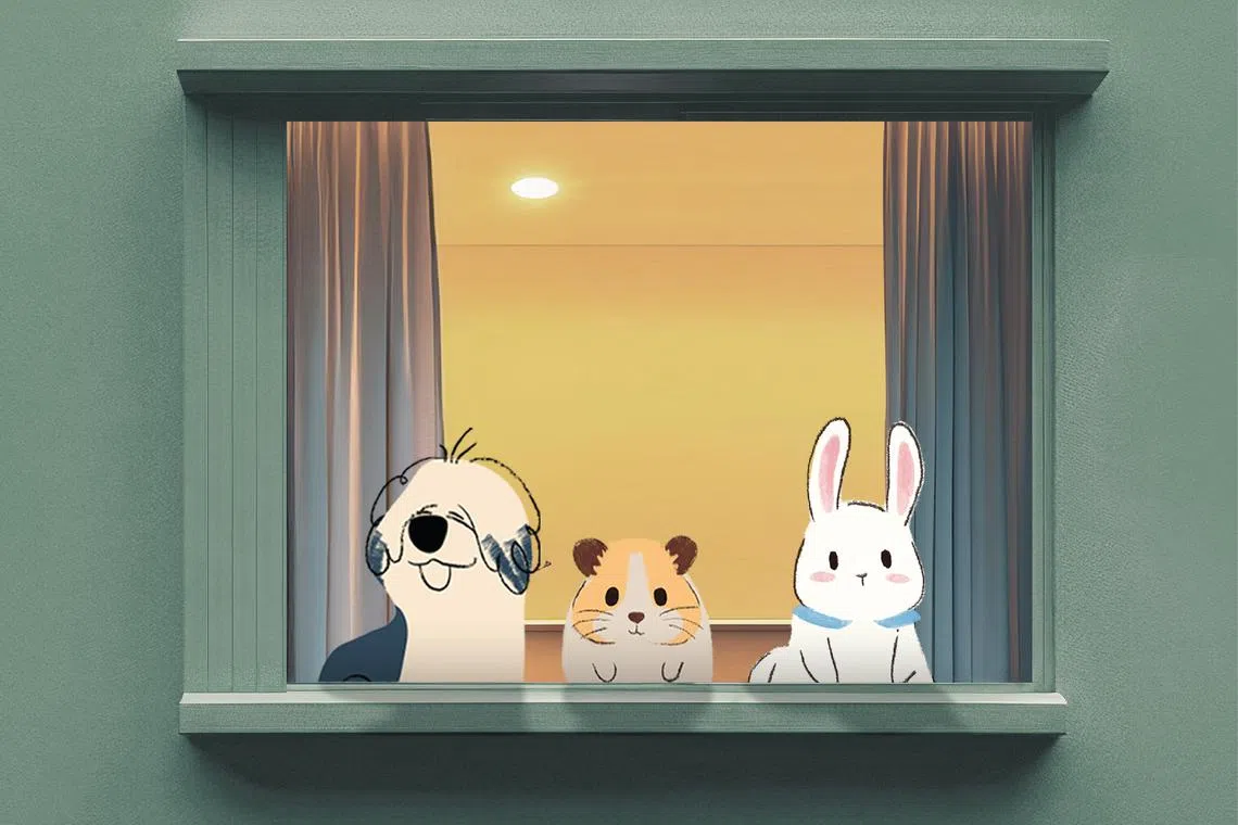 One simple explanation for the explosion in home-based pet boarding services is the growth in pet ownership.