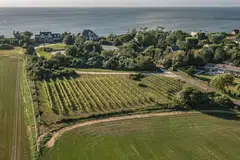 Erica Ritchie's family planted 23 rows of grapes at Haven Vineyard, on Long Island Sound on the North Fork, surrounded by commercial wineries.