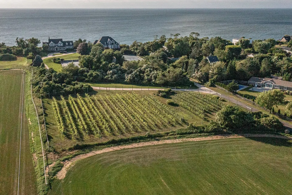 Erica Ritchie's family planted 23 rows of grapes at Haven Vineyard, on Long Island Sound on the North Fork, surrounded by commercial wineries.
