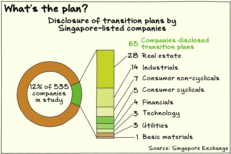 A 2023 review of sustainability reporting found only 12 per cent of Singapore listed companies disclosed transition plans.