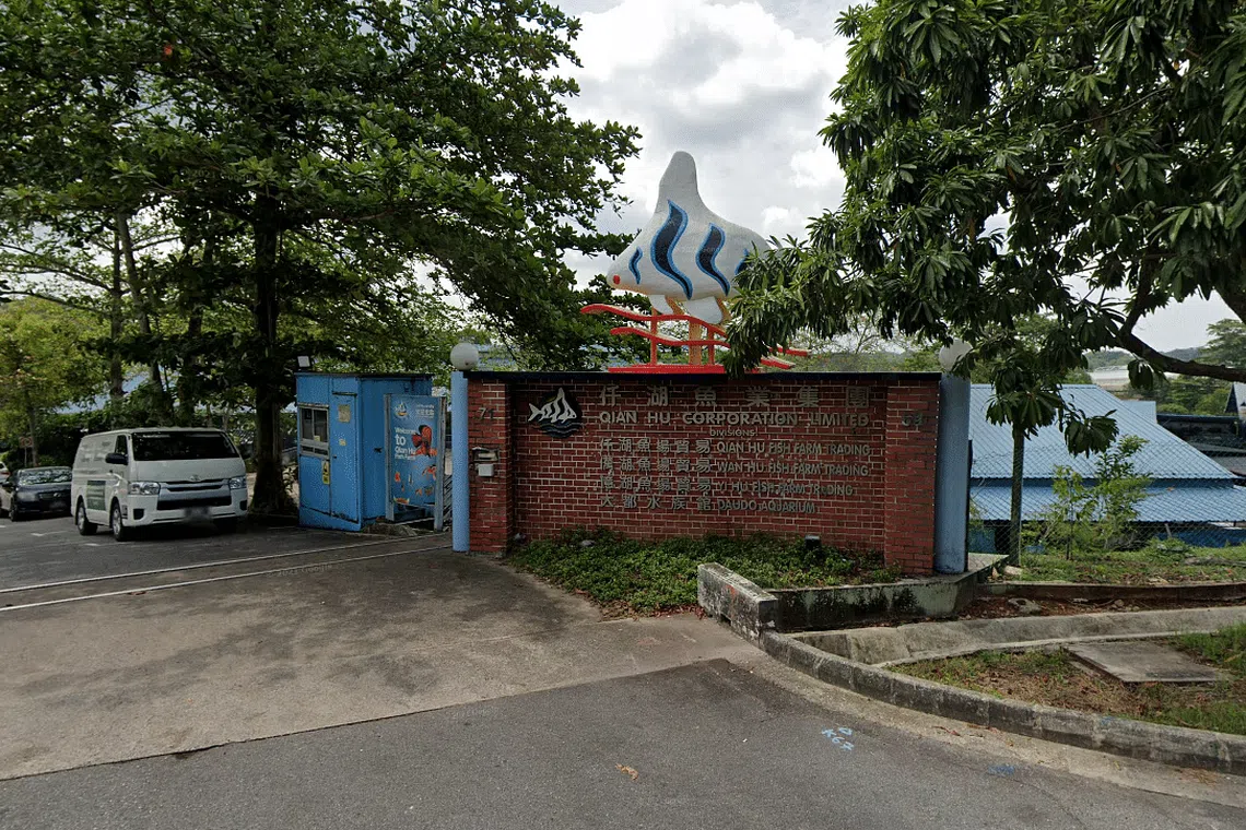 Bosch's AquaEasy obtains S$1m convertible loan from Qian Hu in aquaculture tie-up