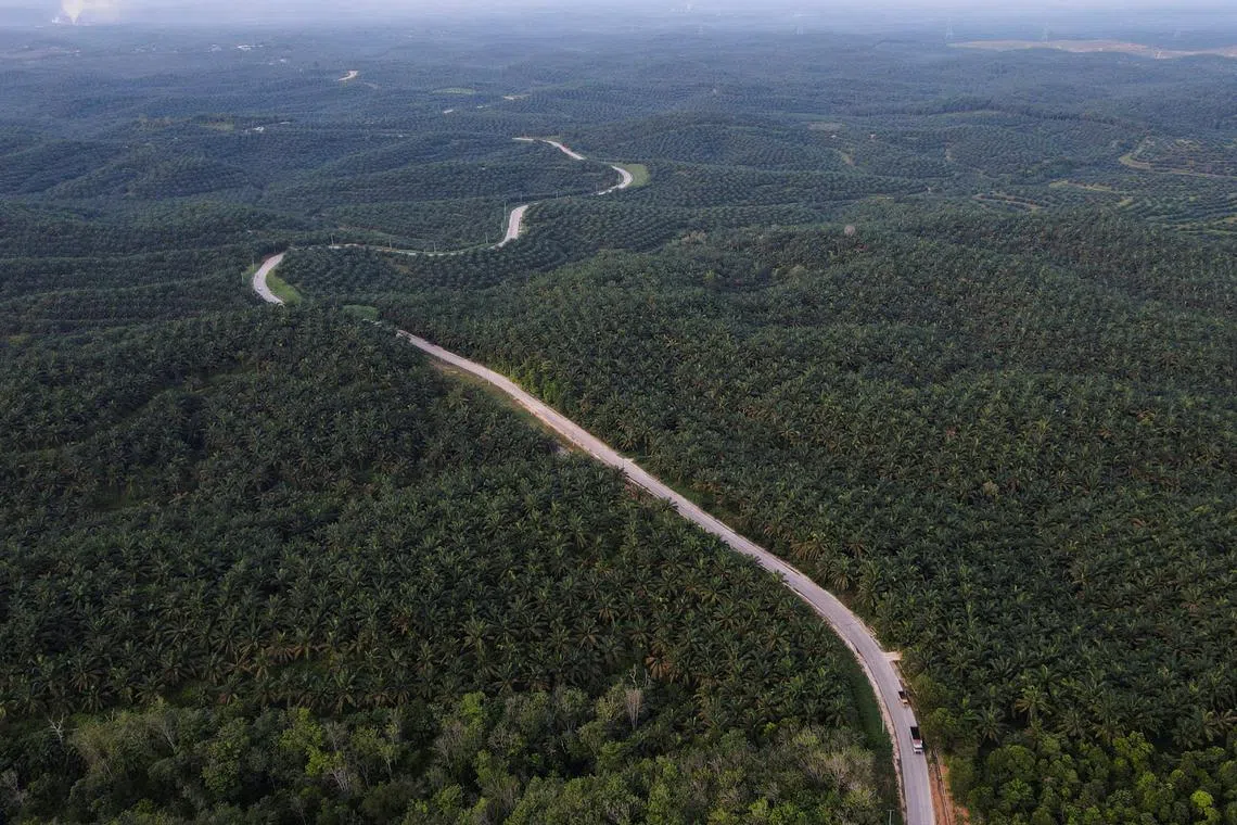 CarbonEthics aims to restore 8 million ha of land under management and deliver more than 160 million tonnes of carbon dioxide equivalent impact by 2030.